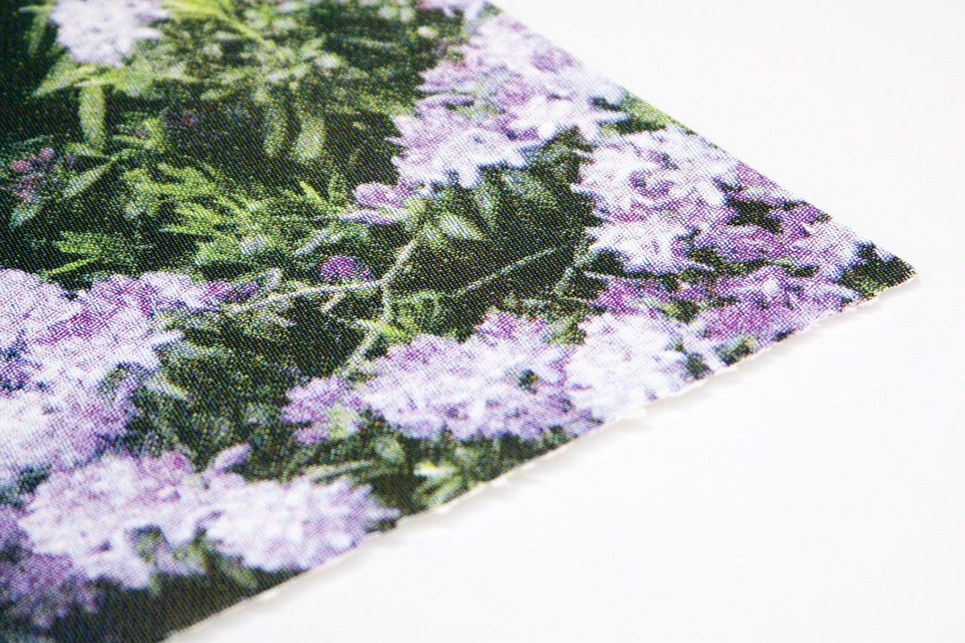 Purple White Florals