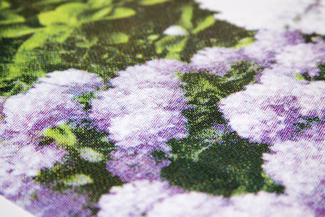 Purple White Florals