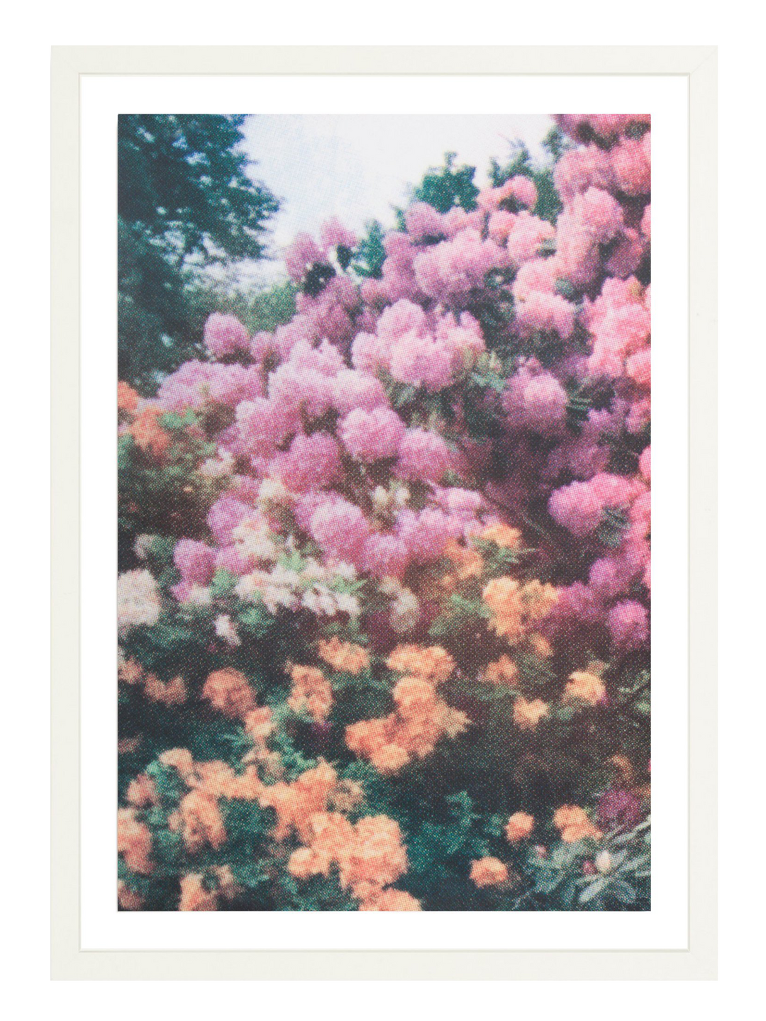 Orange Pink Florals