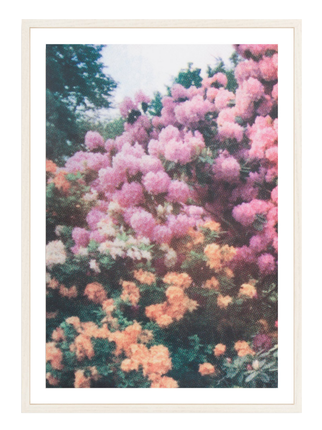 Orange Pink Florals