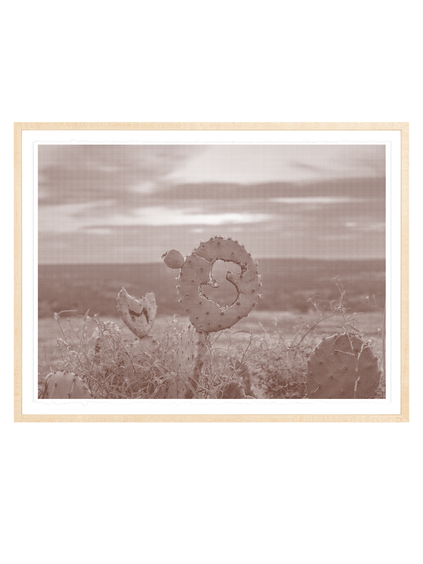 Enchanted Rock, Llano County, Texas
