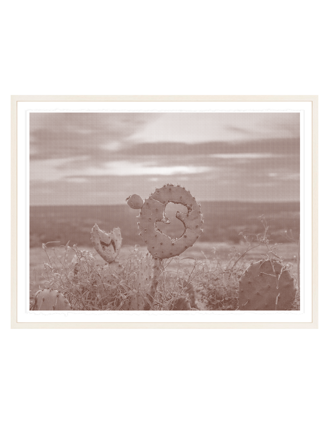 Enchanted Rock, Llano County, Texas