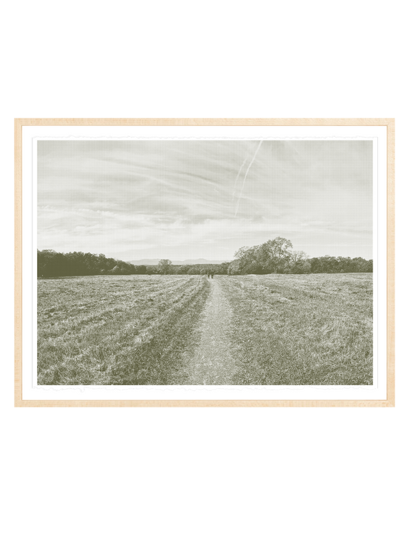 Greenport Conservation Area